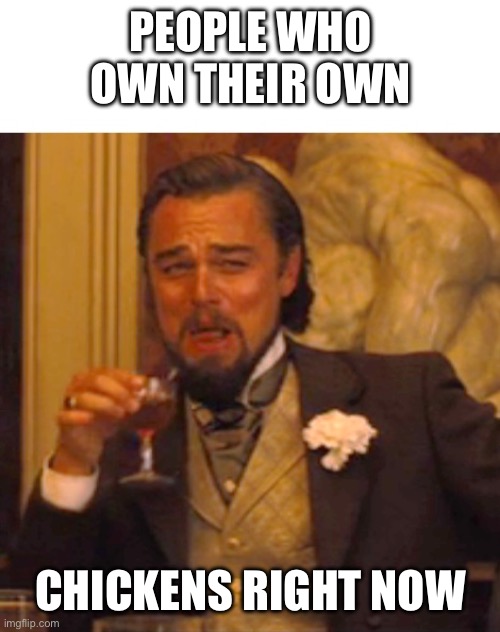 Chicken owners 2023 | PEOPLE WHO OWN THEIR OWN; CHICKENS RIGHT NOW | image tagged in leonardo dicaprio django laugh | made w/ Imgflip meme maker