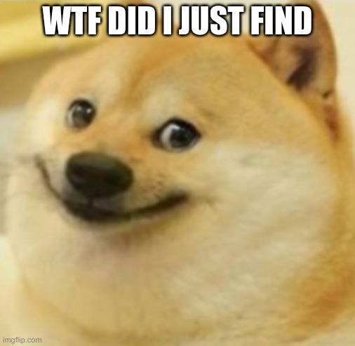 Smile Doge (Cropped) | WTF DID I JUST FIND | image tagged in smile doge cropped | made w/ Imgflip meme maker