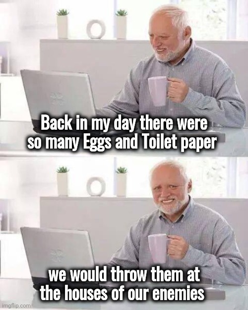 No more Easter and Halloween | Back in my day there were so many Eggs and Toilet paper; we would throw them at the houses of our enemies | image tagged in memes,hide the pain harold,back in my day,easy living,fun stuff,well yes but actually no | made w/ Imgflip meme maker