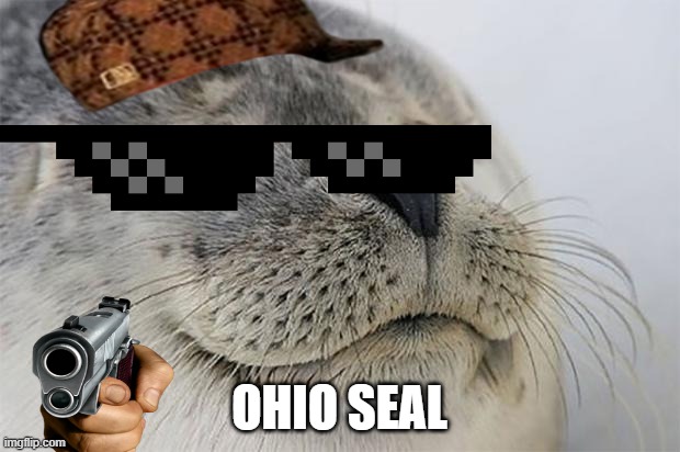 Satisfied Seal Meme | OHIO SEAL | image tagged in memes,satisfied seal | made w/ Imgflip meme maker