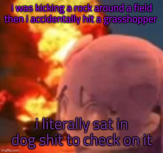 I DIDNT SEE THE SHIT TIL I GOT UP | i was kicking a rock around a field then i accidentally hit a grasshopper; i literally sat in dog shit to check on it | image tagged in msmg | made w/ Imgflip meme maker