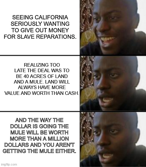 Everyone talks about the cash but nobody talks about the original deal and promise- LAND OWNERSHIP! | SEEING CALIFORNIA SERIOUSLY WANTING TO GIVE OUT MONEY FOR SLAVE REPARATIONS. REALIZING TOO LATE THE DEAL WAS TO BE 40 ACRES OF LAND AND A MULE. LAND WILL ALWAYS HAVE MORE VALUE AND WORTH THAN CASH. AND THE WAY THE DOLLAR IS GOING THE MULE WILL BE WORTH MORE THAN A MILLION DOLLARS AND YOU AREN'T GETTING THE MULE EITHER. | image tagged in oh yeah oh no,reperations,stupid people,suckers | made w/ Imgflip meme maker