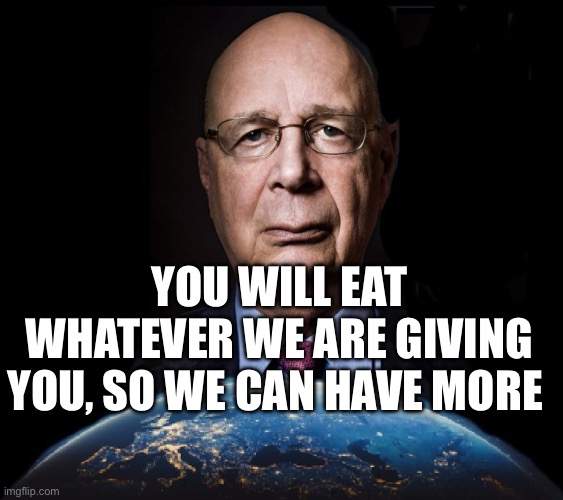 klaus schwab world economic forum world wef own nothing | YOU WILL EAT WHATEVER WE ARE GIVING YOU, SO WE CAN HAVE MORE | image tagged in klaus schwab world economic forum world wef own nothing | made w/ Imgflip meme maker