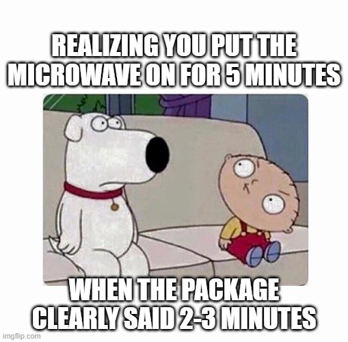 5 minutes when package said 2-3 | REALIZING YOU PUT THE MICROWAVE ON FOR 5 MINUTES; WHEN THE PACKAGE CLEARLY SAID 2-3 MINUTES | image tagged in brian and stewie | made w/ Imgflip meme maker