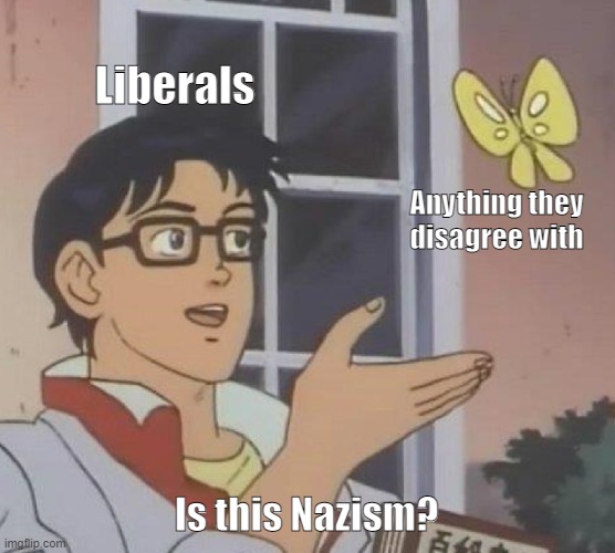 They don't even know what Nazism means | Liberals; Anything they disagree with; Is this Nazism? | image tagged in memes,is this a pigeon,liberals,nazis | made w/ Imgflip meme maker