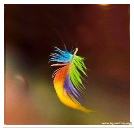 Rainbow Feather Blank Meme Template