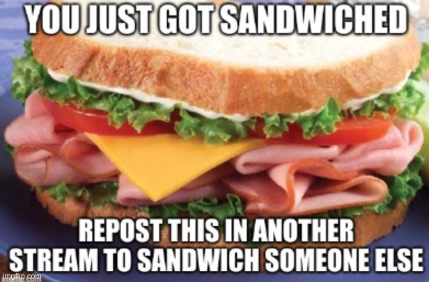 sand | image tagged in sandwich,meme | made w/ Imgflip meme maker