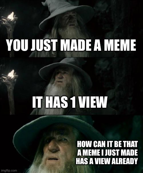 Confused Gandalf Meme | YOU JUST MADE A MEME; IT HAS 1 VIEW; HOW CAN IT BE THAT A MEME I JUST MADE HAS A VIEW ALREADY | image tagged in memes,confused gandalf | made w/ Imgflip meme maker