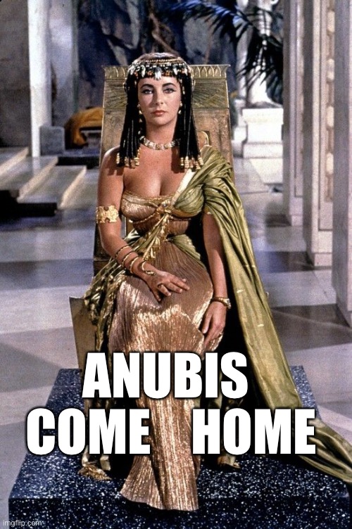 Cleopatra Liz | ANUBIS   COME    HOME | image tagged in cleopatra liz | made w/ Imgflip meme maker