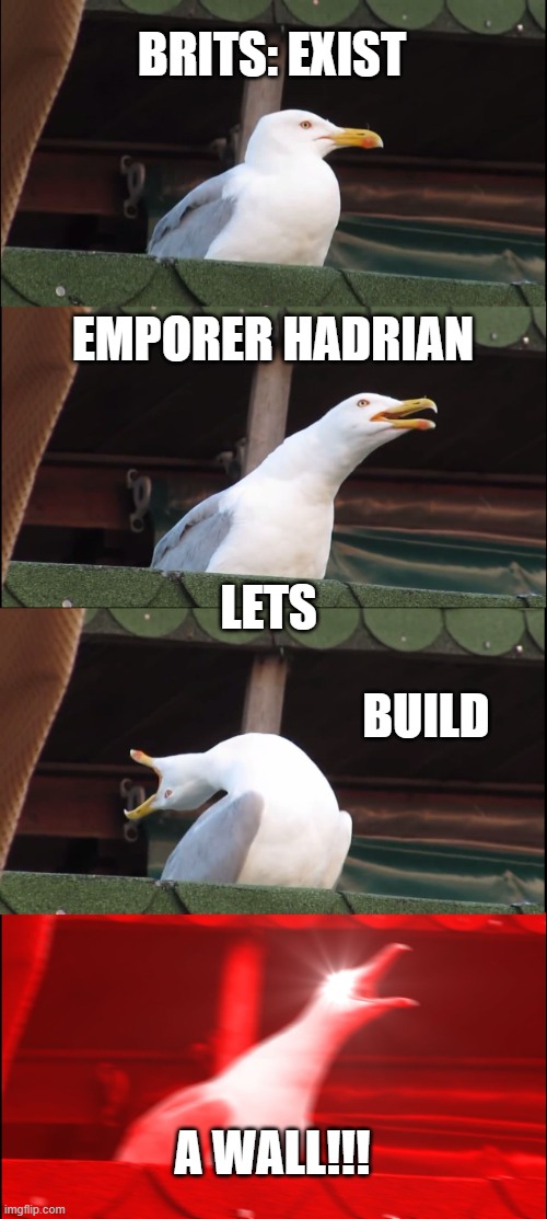 Inhaling Seagull | BRITS: EXIST; EMPORER HADRIAN; LETS; BUILD; A WALL!!! | image tagged in memes,inhaling seagull | made w/ Imgflip meme maker