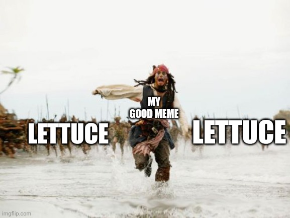 RUUUUUN | LETTUCE; MY GOOD MEME; LETTUCE | image tagged in memes,jack sparrow being chased | made w/ Imgflip meme maker