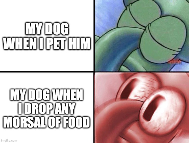 sleeping Squidward | MY DOG WHEN I PET HIM; MY DOG WHEN I DROP ANY MORSAL OF FOOD | image tagged in sleeping squidward | made w/ Imgflip meme maker