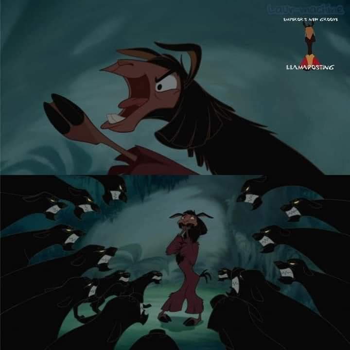 High Quality Kuzco Versus Panthers Blank Meme Template