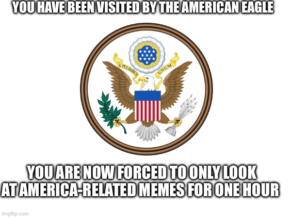 America | YOU HAVE BEEN VISITED BY THE AMERICAN EAGLE; YOU ARE NOW FORCED TO ONLY LOOK AT AMERICA-RELATED MEMES FOR ONE HOUR | image tagged in america,announcement | made w/ Imgflip meme maker