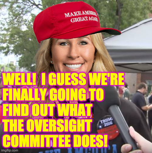 We're going to find out a lot of things. | WELL!  I GUESS WE'RE
FINALLY GOING TO
FIND OUT WHAT
THE OVERSIGHT
COMMITTEE DOES! | image tagged in memes,mtg | made w/ Imgflip meme maker
