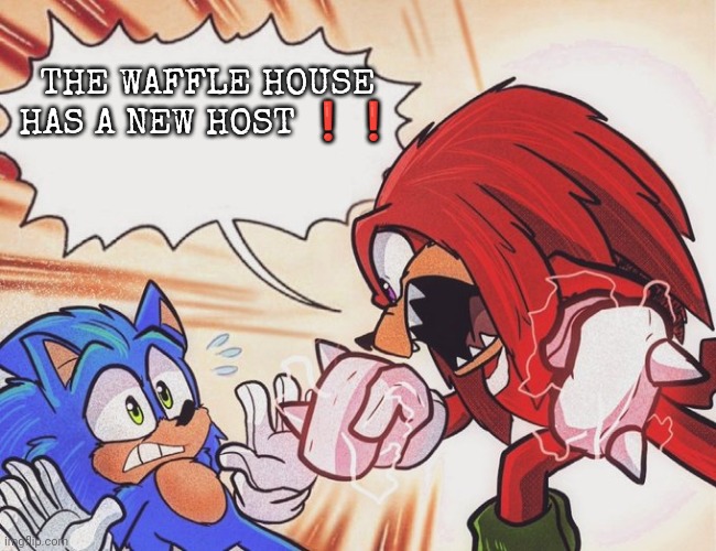 Knuckles yelling at Sonic | THE WAFFLE HOUSE HAS A NEW HOST ❗❗ | image tagged in knuckles yelling at sonic | made w/ Imgflip meme maker