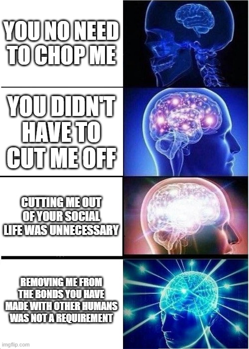 cut the lyrics off | YOU NO NEED TO CHOP ME; YOU DIDN'T HAVE TO CUT ME OFF; CUTTING ME OUT OF YOUR SOCIAL LIFE WAS UNNECESSARY; REMOVING ME FROM THE BONDS YOU HAVE MADE WITH OTHER HUMANS WAS NOT A REQUIREMENT | image tagged in memes,expanding brain | made w/ Imgflip meme maker