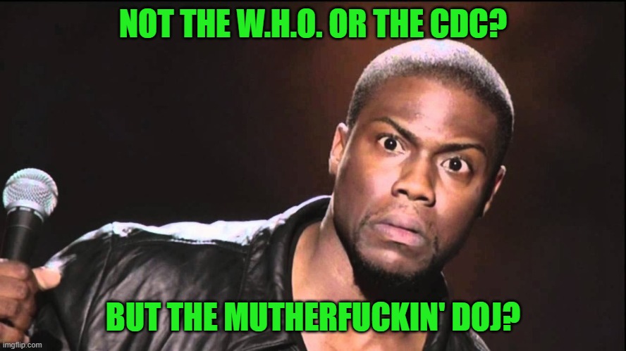 Wait What? | NOT THE W.H.O. OR THE CDC? BUT THE MUTHERFUCKIN' DOJ? | image tagged in wait what | made w/ Imgflip meme maker