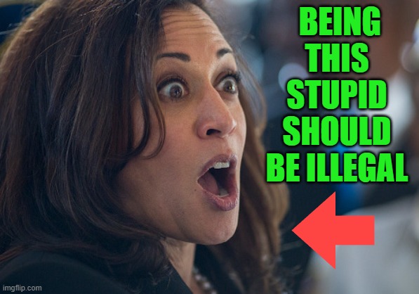 BEING THIS STUPID SHOULD BE ILLEGAL | BEING THIS STUPID SHOULD BE ILLEGAL | image tagged in kamala harris | made w/ Imgflip meme maker