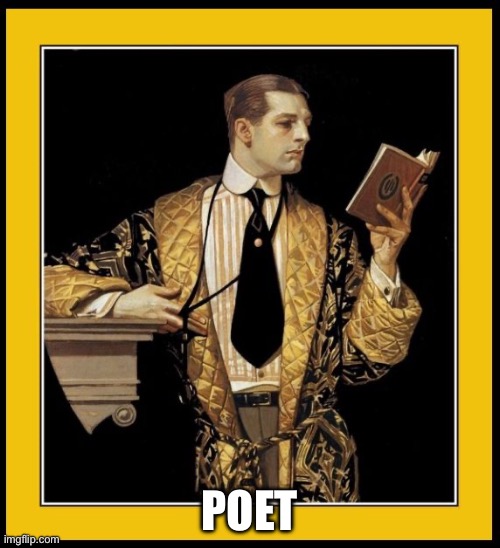 Poetry Dude | POET | image tagged in poetry dude | made w/ Imgflip meme maker