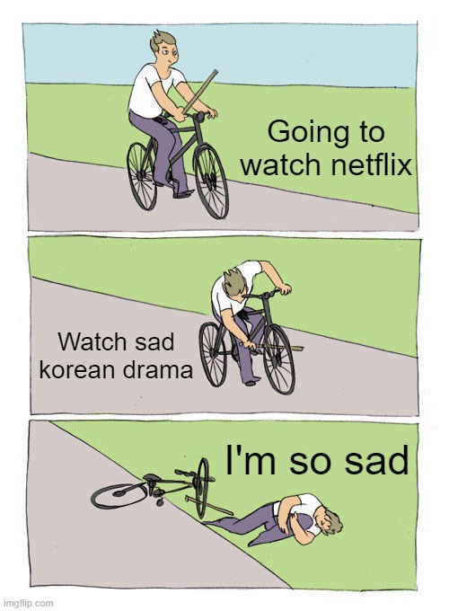 Korean Dramas | Going to watch netflix; Watch sad korean drama; I'm so sad | image tagged in memes,bike fall | made w/ Imgflip meme maker