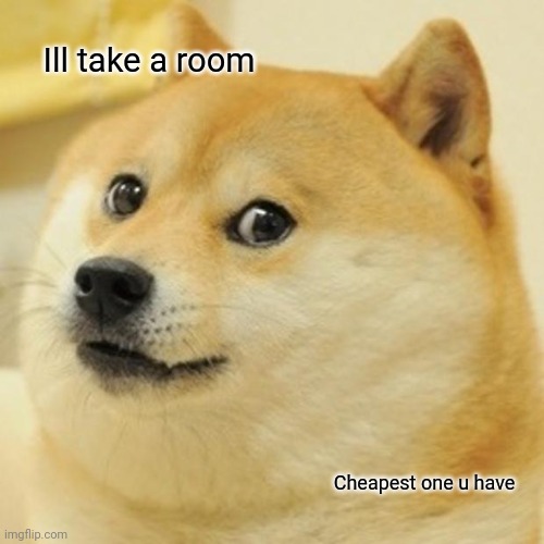 I have the money | Ill take a room; Cheapest one u have | image tagged in memes,doge | made w/ Imgflip meme maker
