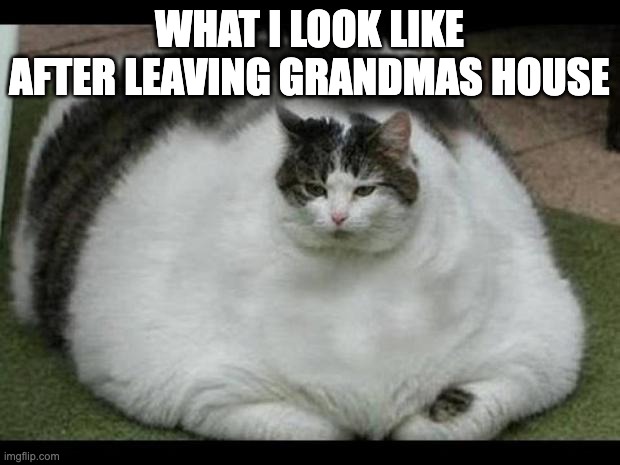 fat cat | WHAT I LOOK LIKE AFTER LEAVING GRANDMAS HOUSE | image tagged in fat cat 2 | made w/ Imgflip meme maker
