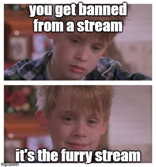 Home Alone Sudden Realization | you get banned from a stream; it's the furry stream | image tagged in home alone sudden realization | made w/ Imgflip meme maker