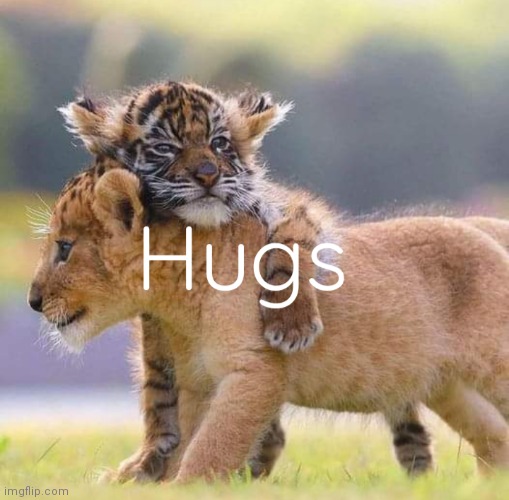 Hugs | image tagged in hugs,lions,memes,psychology,relationships | made w/ Imgflip meme maker