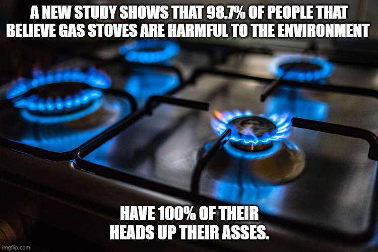 New Study | A NEW STUDY SHOWS THAT 98.7% OF PEOPLE THAT BELIEVE GAS STOVES ARE HARMFUL TO THE ENVIRONMENT; HAVE 100% OF THEIR HEADS UP THEIR ASSES. | image tagged in gas stoves | made w/ Imgflip meme maker