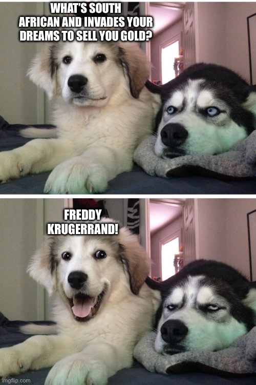 Bad pun dogs | WHAT’S SOUTH AFRICAN AND INVADES YOUR DREAMS TO SELL YOU GOLD? FREDDY KRUGERRAND! | image tagged in bad pun dogs | made w/ Imgflip meme maker
