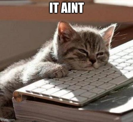 tired cat | IT AINT | image tagged in tired cat | made w/ Imgflip meme maker