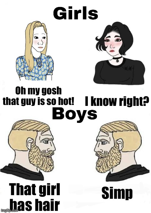 Simp | I know right? Oh my gosh that guy is so hot! Simp; That girl has hair | image tagged in girls vs boys,no simping,fun,chad | made w/ Imgflip meme maker
