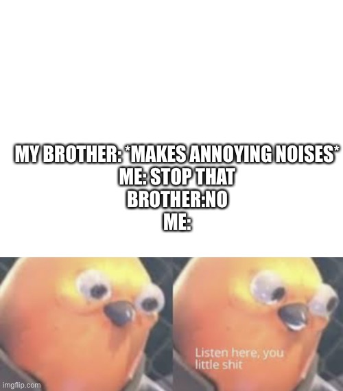 MY BROTHER: *MAKES ANNOYING NOISES*
ME: STOP THAT
BROTHER:NO
ME: | image tagged in listen here you little shit bird,family life,sandwich | made w/ Imgflip meme maker
