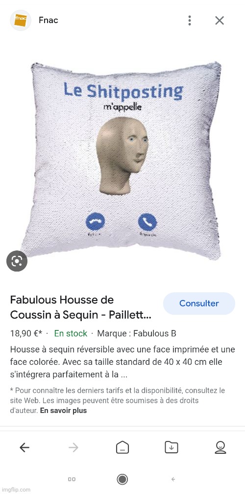 Searched for an cushion on fronch Amazon and found this | made w/ Imgflip meme maker