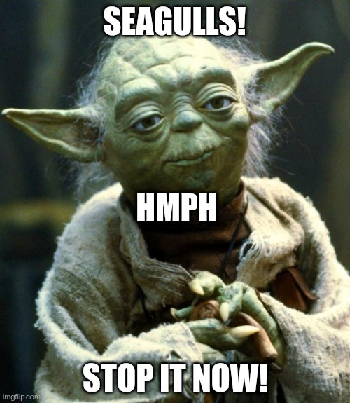 Star Wars Yoda | SEAGULLS! HMPH; STOP IT NOW! | image tagged in memes,star wars yoda | made w/ Imgflip meme maker