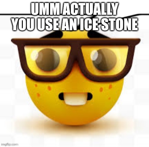 says the nerd | UMM ACTUALLY YOU USE AN ICE STONE | image tagged in says the nerd | made w/ Imgflip meme maker