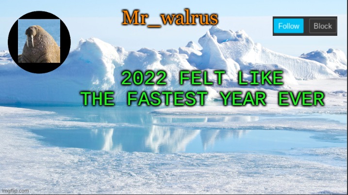 Mr_walrus | 2022 FELT LIKE THE FASTEST YEAR EVER | image tagged in mr_walrus | made w/ Imgflip meme maker