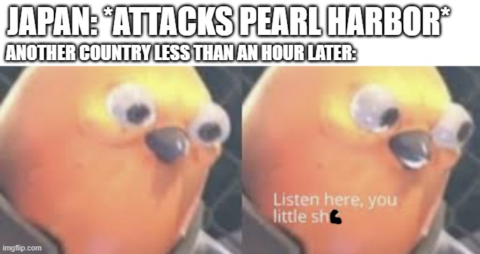 Some country for attacking Pearl Harbor in 1941 | JAPAN: *ATTACKS PEARL HARBOR*; ANOTHER COUNTRY LESS THAN AN HOUR LATER: | image tagged in listen here you little shit bird,memes | made w/ Imgflip meme maker