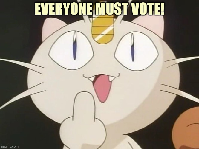 Meowth Middle Claw | EVERYONE MUST VOTE! | image tagged in meowth middle claw | made w/ Imgflip meme maker