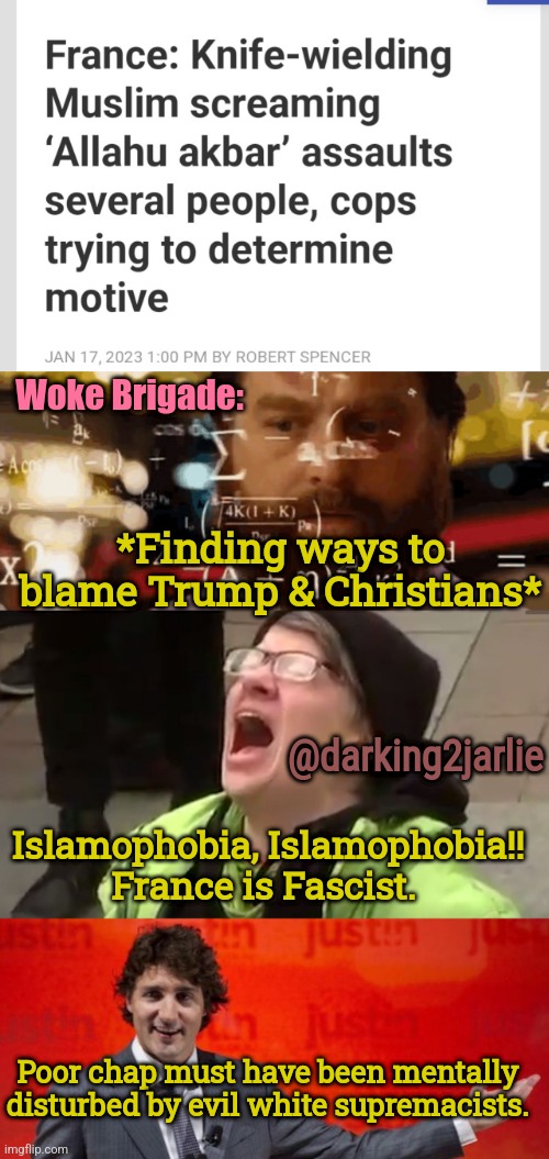 Must. Blame. Someone else. Responsibility are racist. | Woke Brigade:; *Finding ways to blame Trump & Christians*; @darking2jarlie; Islamophobia, Islamophobia!! France is Fascist. Poor chap must have been mentally disturbed by evil white supremacists. | image tagged in liberals,liberal logic,trump,donald trump | made w/ Imgflip meme maker