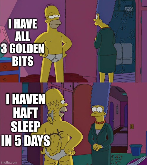Homer Simpson's Back Fat | I HAVE ALL 3 GOLDEN BITS; I HAVEN HAFT SLEEP IN 5 DAYS | image tagged in homer simpson's back fat | made w/ Imgflip meme maker