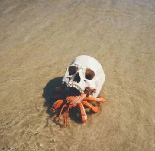 crab using a human skull as a shell | image tagged in awesome | made w/ Imgflip meme maker