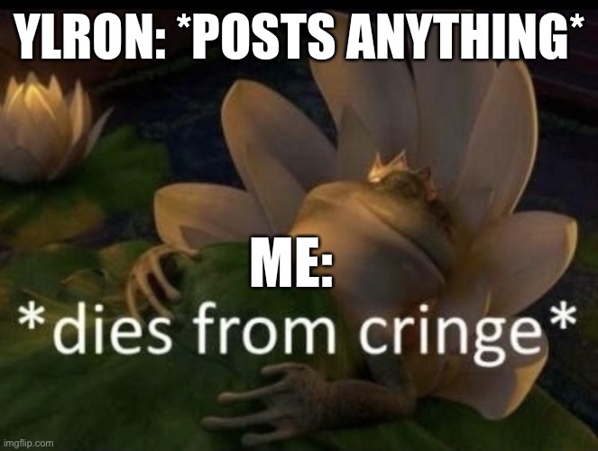 Dies from cringe | YLRON: *POSTS ANYTHING*; ME: | image tagged in dies from cringe | made w/ Imgflip meme maker
