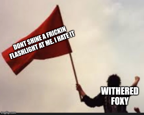 IDK how this meme works. This is what I came up with | DONT SHINE A FRICKIN FLASHLIGHT AT ME. I HATE IT; WITHERED FOXY | image tagged in that was a red flag | made w/ Imgflip meme maker