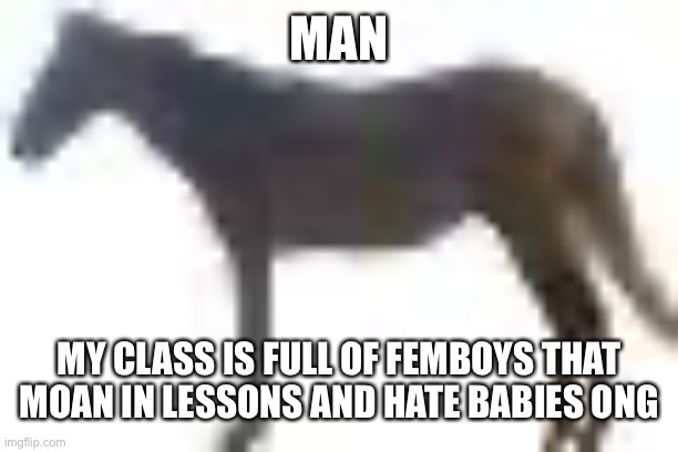 tell the discord if you wanna | MAN; MY CLASS IS FULL OF FEMBOYS THAT MOAN IN LESSONS AND HATE BABIES ONG | image tagged in man png | made w/ Imgflip meme maker