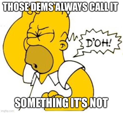 homer doh | THOSE DEMS ALWAYS CALL IT SOMETHING IT’S NOT | image tagged in homer doh | made w/ Imgflip meme maker