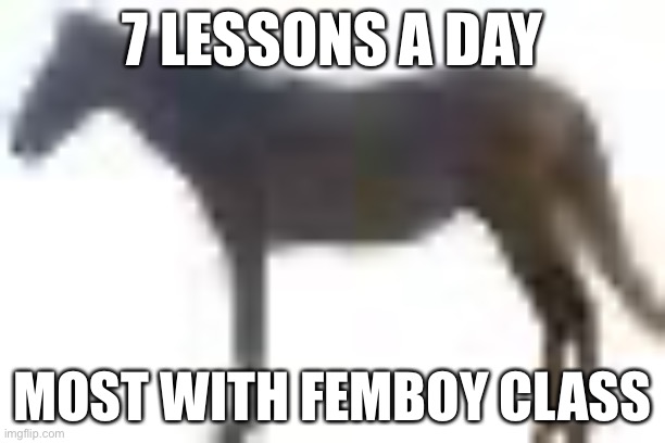man.png | 7 LESSONS A DAY; MOST WITH FEMBOY CLASS | image tagged in man png | made w/ Imgflip meme maker
