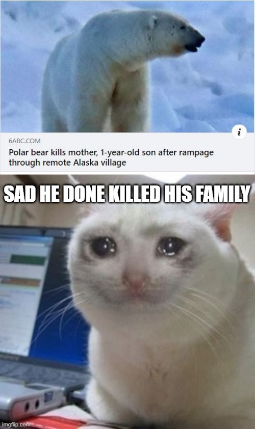 Killer Bear | SAD HE DONE KILLED HIS FAMILY | image tagged in crying cat | made w/ Imgflip meme maker