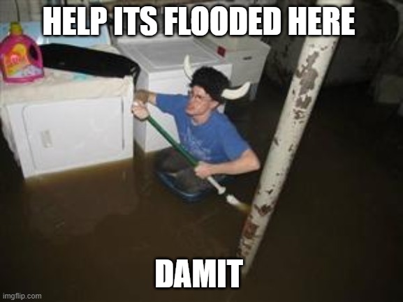 it will be fun they said | HELP ITS FLOODED HERE; DAMIT | image tagged in it will be fun they said | made w/ Imgflip meme maker